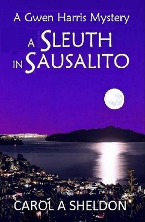Cover of the book A Sleuth in Sausalito by Dallas Tanner