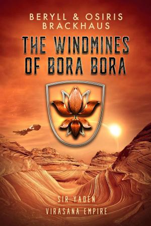 Cover of the book The Windmines of Bora Bora by JA Ellis