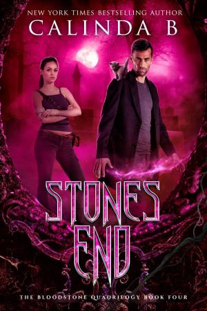 bigCover of the book Stones End by 