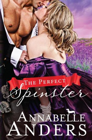 Cover of the book The Perfect Spinster by Vivienne Westlake