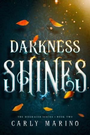 Book cover of Darkness Shines