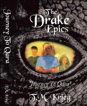Book cover of Drake Epics: Journey to Qara
