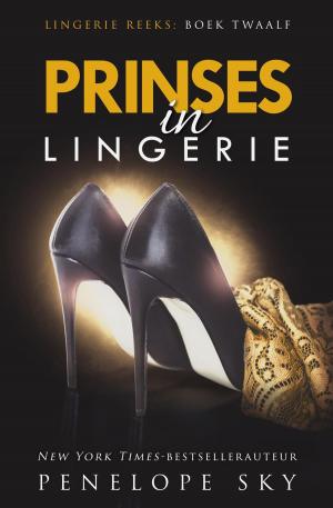 Cover of Prinses in lingerie