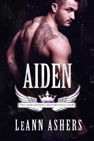 Cover of the book Aiden by Rebecca Main
