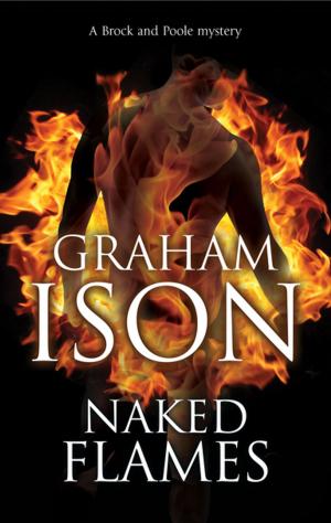 Cover of the book Naked Flames by Nick Oldham