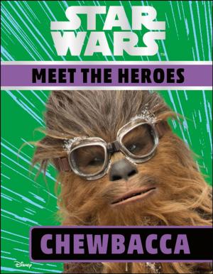 Book cover of Star Wars Meet the Heroes Chewbacca