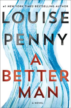 Cover of the book A Better Man by Erin Kelly