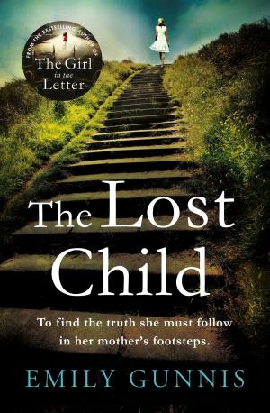 Cover of the book The Lost Child by Amy Nickell