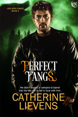 Cover of the book Perfect Fangs by Andi Anderson