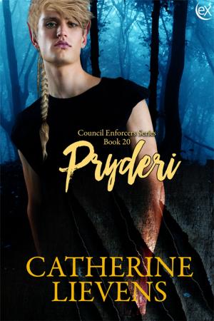 Cover of the book Pryderi by Stefan Angelina McElvain