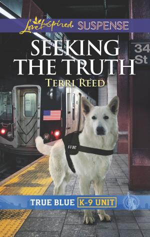 bigCover of the book Seeking the Truth by 