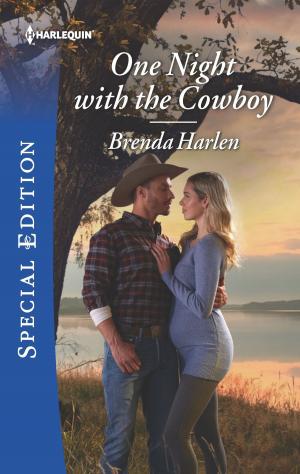 Cover of the book One Night with the Cowboy by C.J. Carmichael