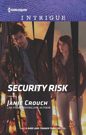 Cover of the book Security Risk by Tina Leonard, Cathy McDavid, Marie Ferrarella, Pamela Britton