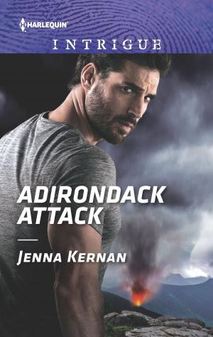 Cover of the book Adirondack Attack by Karina Bliss