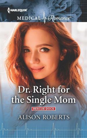 Cover of the book Dr. Right for the Single Mom by LM Foster