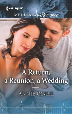 Cover of the book A Return, a Reunion, a Wedding by Geneviève Schurer
