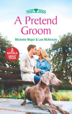 Cover of the book A Pretend Groom by Justine Elvira