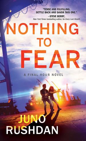 Cover of the book Nothing to Fear by Colleen Barnett