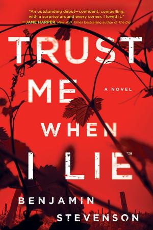Cover of the book Trust Me When I Lie by Hannah Jewell