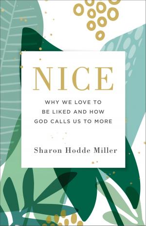 Cover of the book Nice by Tom Taylor