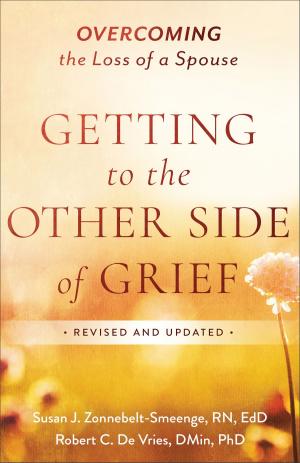 Book cover of Getting to the Other Side of Grief
