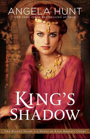 Cover of the book King's Shadow (The Silent Years Book #4) by Tri Robinson, Jason Chatraw
