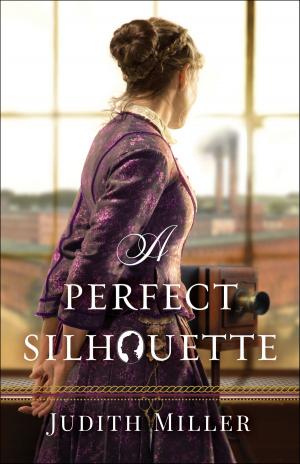Cover of the book A Perfect Silhouette by Quentin J. Schultze, Diane M. Badzinski