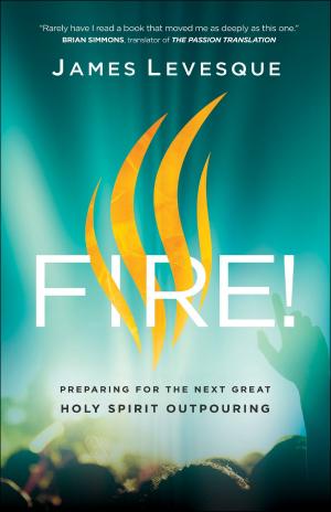 Cover of the book Fire! by Ephriam Radner, Michael Root, George Sumner, Thomas Joseph OP White, R. Reno, Robert Jenson, Robert Wilken