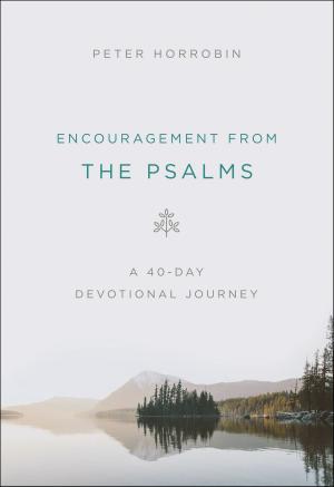 Cover of the book Encouragement from the Psalms by James K. A. Smith