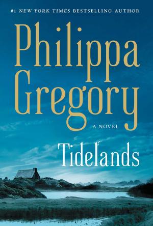 Book cover of Tidelands