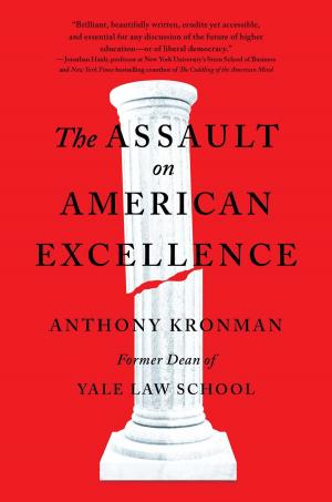 Cover of the book The Assault on American Excellence by Camilla Grebe, Åsa Träff