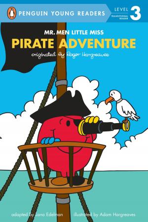 Book cover of Pirate Adventure