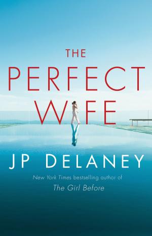 Cover of the book The Perfect Wife by Perri O'Shaughnessy