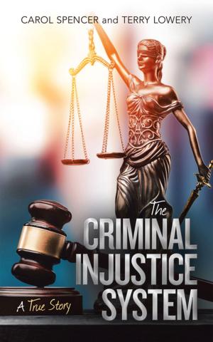 Book cover of The Criminal Injustice System