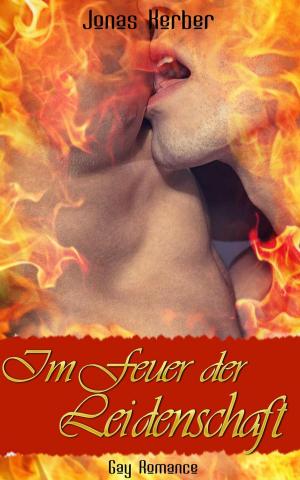 Cover of the book Im Feuer der Leidenschaft (Gay Romance) by A. Montpierre
