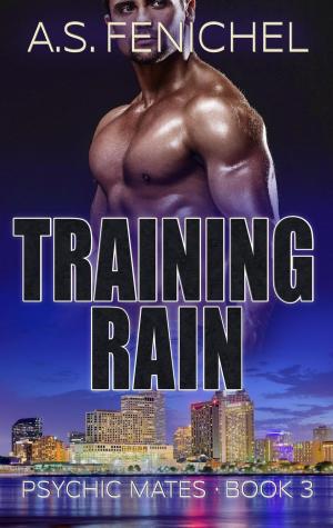 Cover of the book Training Rain by Sara Reinke