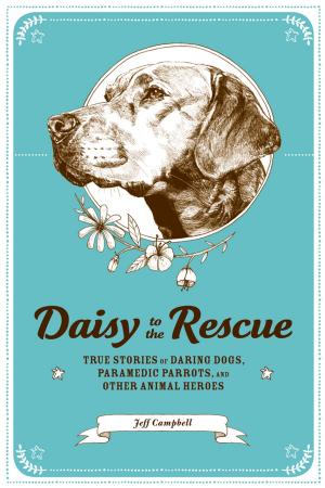 Cover of the book Daisy to the Rescue by Robin Nelson