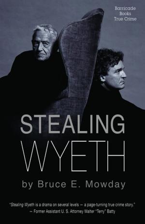 Cover of the book Stealing Wyeth by Bruce E. Mowday