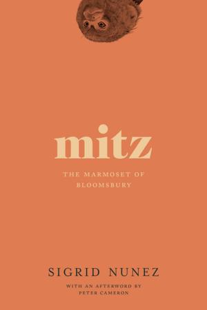 Cover of the book Mitz by Gary Amdahl