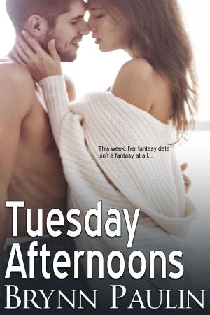 Cover of the book Tuesday Afternoons by Megan Slayer
