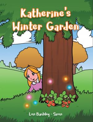 Cover of the book Katherine's Winter Garden by Christy Wilburn Nobella Webb