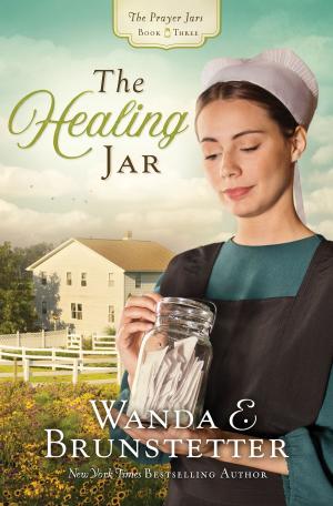 bigCover of the book The Healing Jar by 