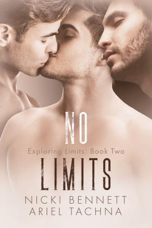 Cover of the book No Limits by Aimelie Aames
