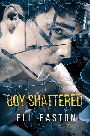 Cover of the book Boy Shattered by Connie Bailey