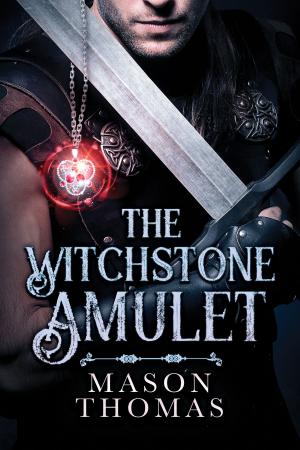 Cover of the book The Witchstone Amulet by TJ Klune