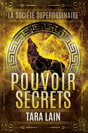 Book cover of Pouvoirs secrets