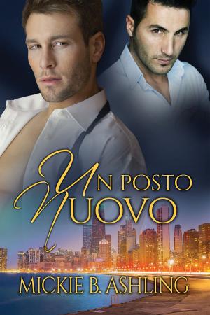 Cover of the book Un posto nuovo by BA Tortuga