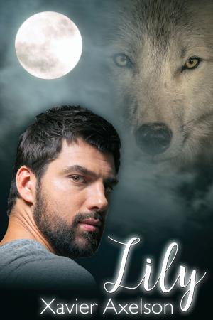 Cover of the book Lily by J.D. Walker