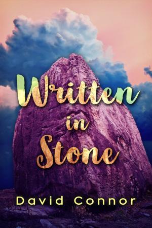 Cover of the book Written in Stone by Paul Alan Fahey