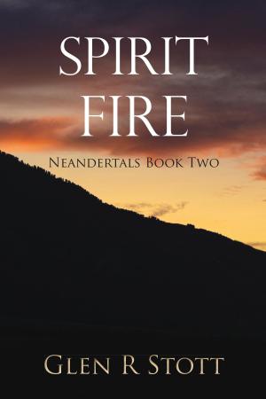 Cover of the book Spirit Fire by Melody J. Bremen